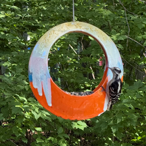 Bird Feeder